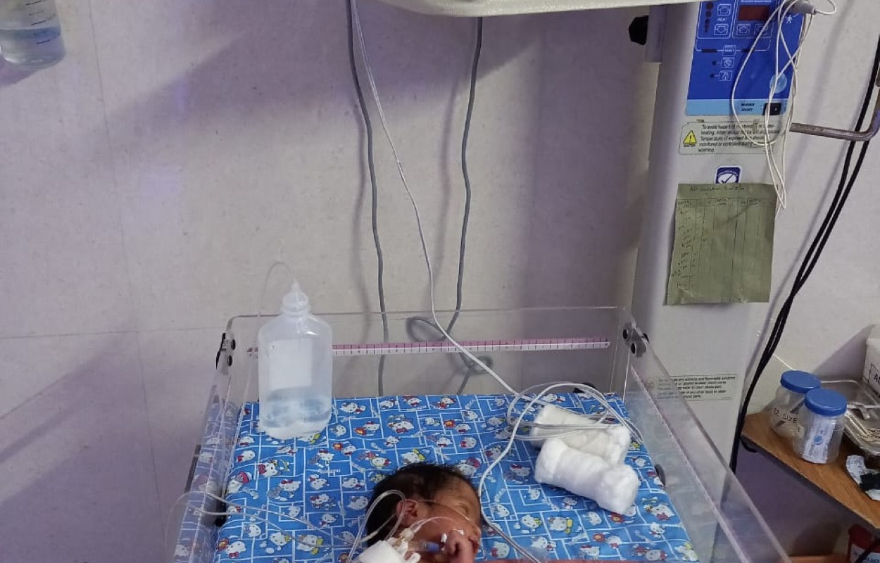 WhatsApp Image 2023-03-16 at 11.31.53